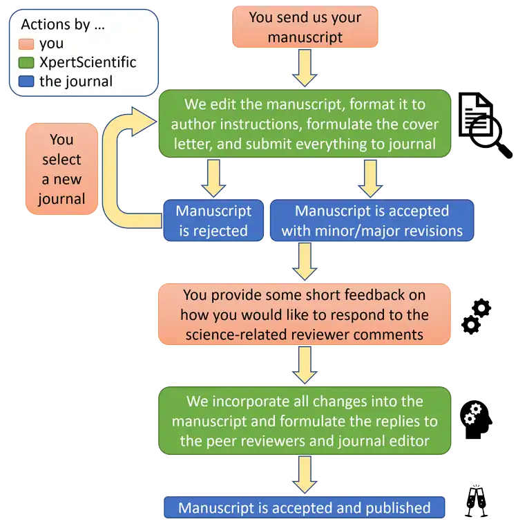 Le processus de publication académique et les services fournis dans le cadre de notre Forfait Carefree.