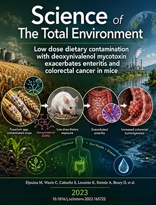 Journal cover graphic for Science of The Total Environment