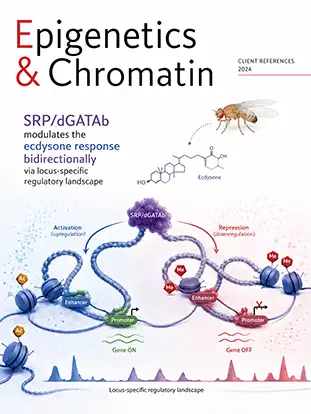 Journal cover graphic for Epigenetics &amp; Chromatin