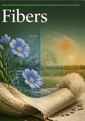 Journal cover graphic for Fibers