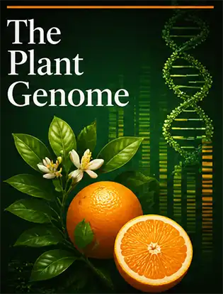 Journal cover graphic for The Plant Genome