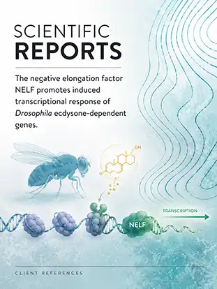 Journal cover graphic for Scientific Reports