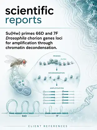 Journal cover graphic for Scientific Reports