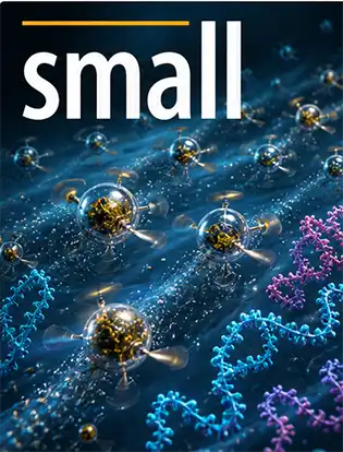 Journal cover graphic for Small