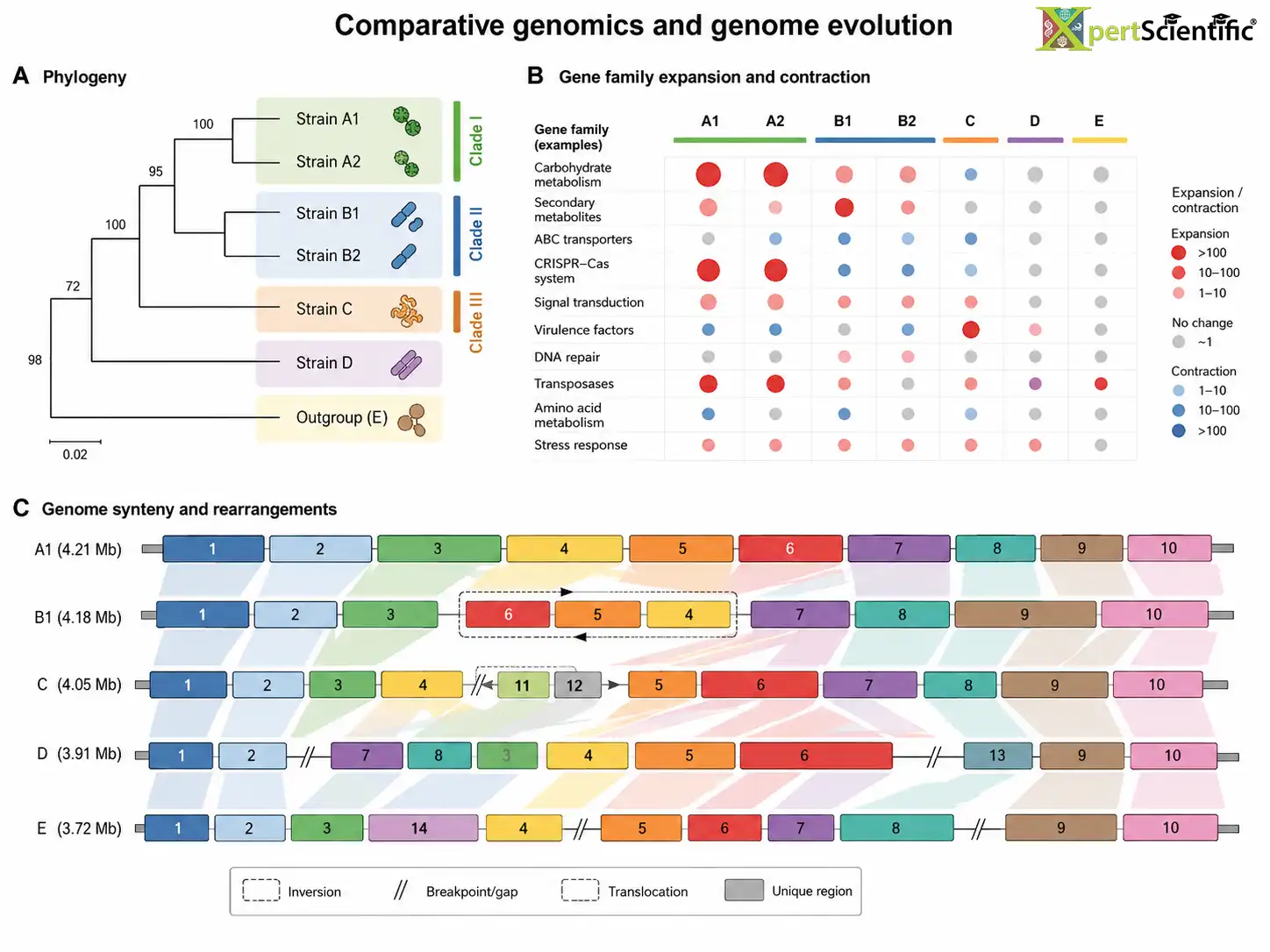 Epidemiological modelling results for COVID-19