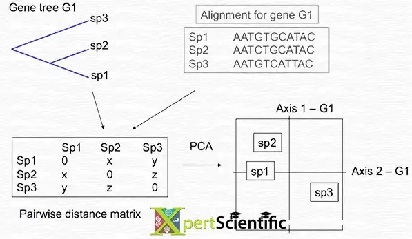 Genetics modelling example