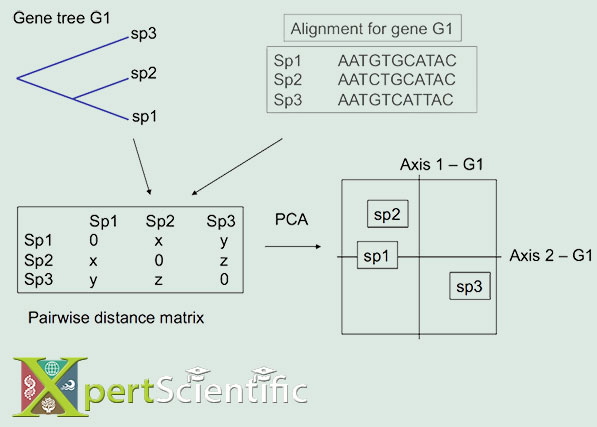 Multivariate approach