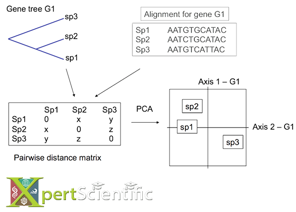 Multivariate approach