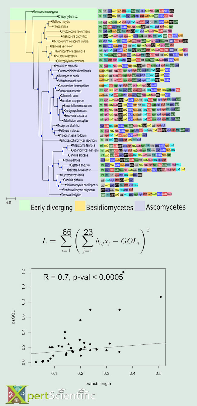 Gene Order Loss