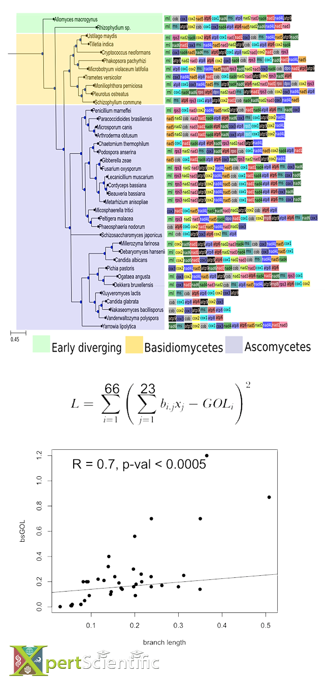 Gene Order Loss